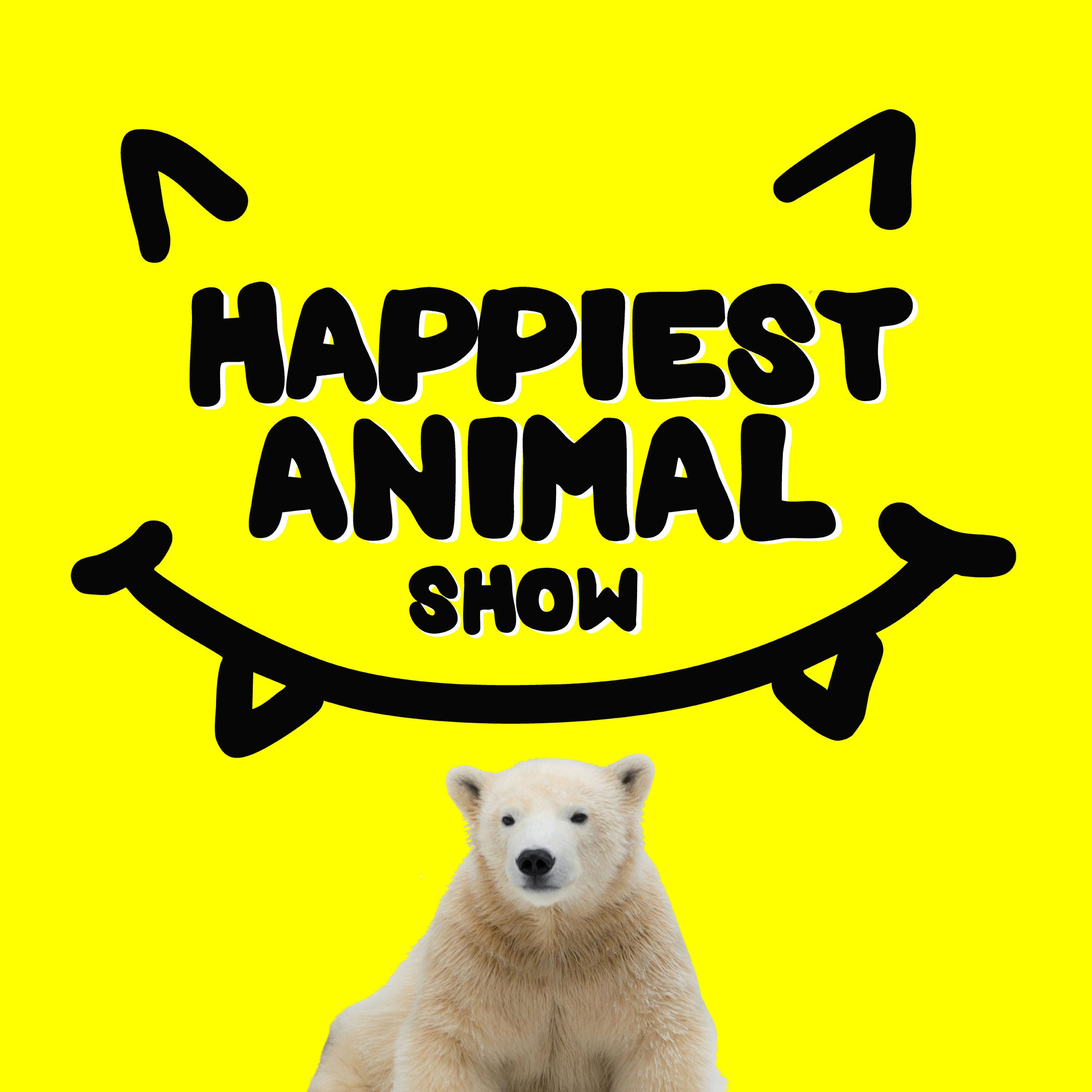 Happiest Fanimals 2 (Animal Clues from our Fans)