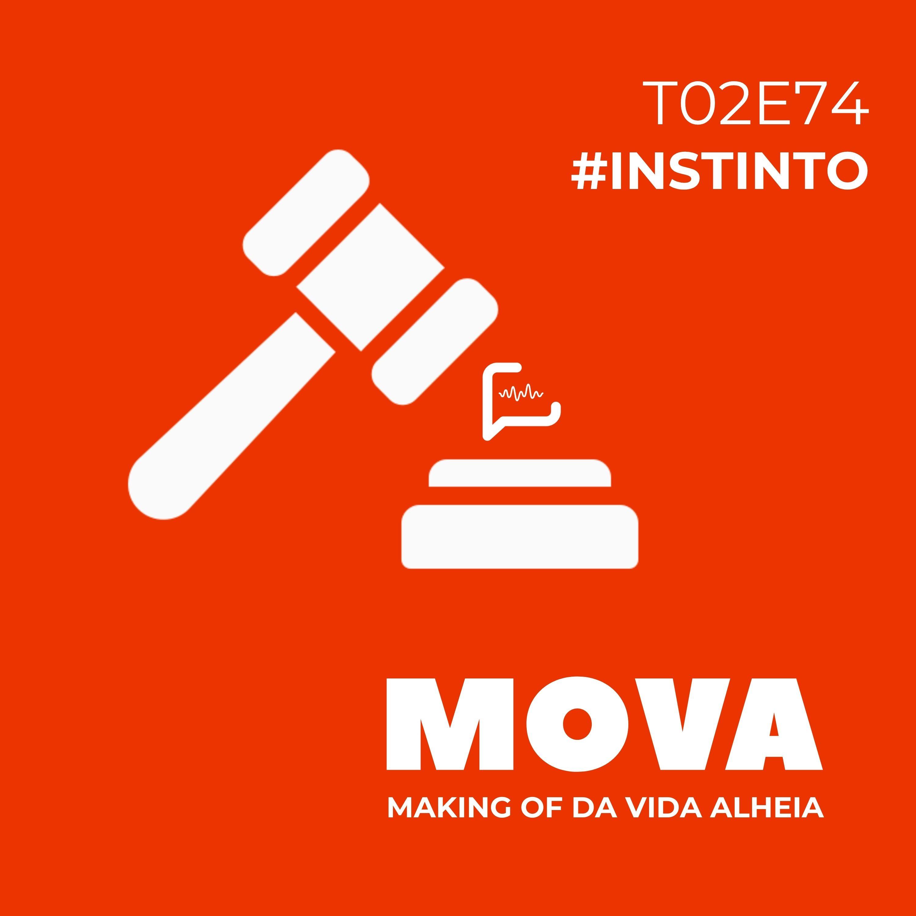 Instinto provedor
