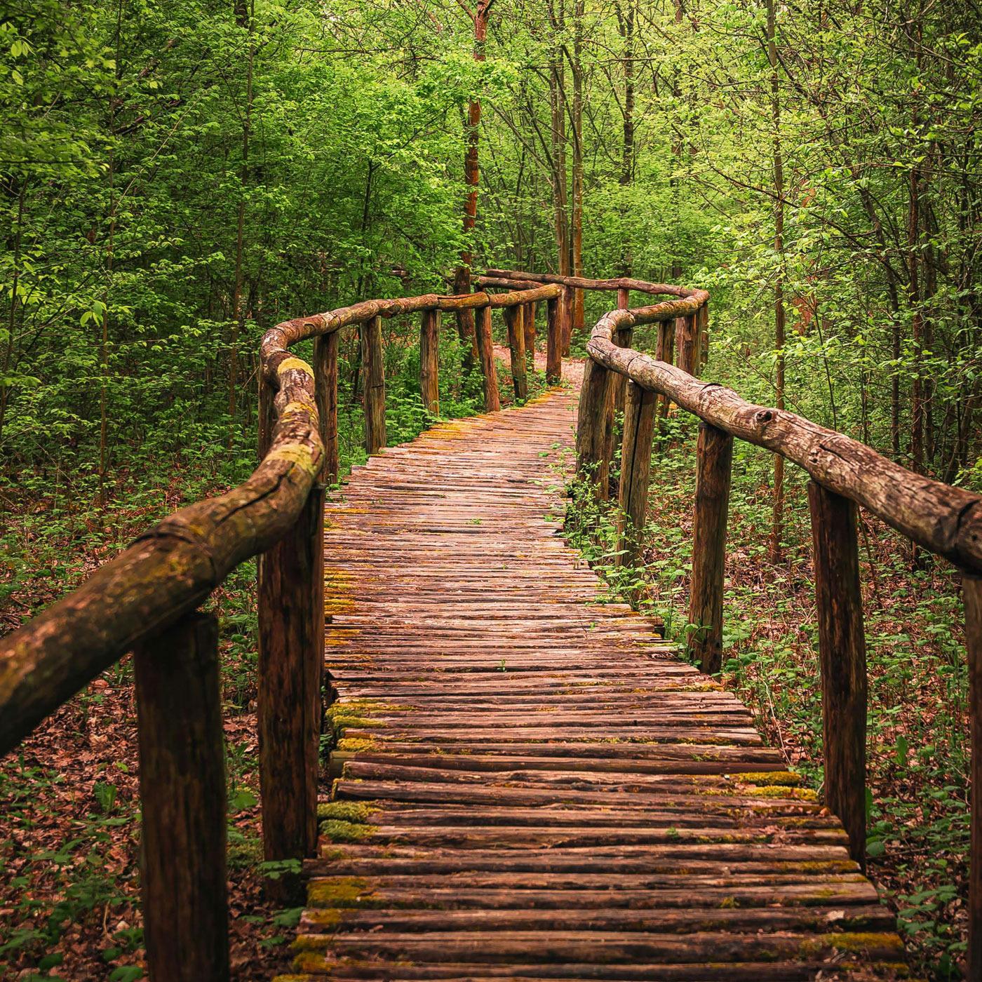 Planning Your Path: How a Written Financial Plan Changes Everything episode artwork