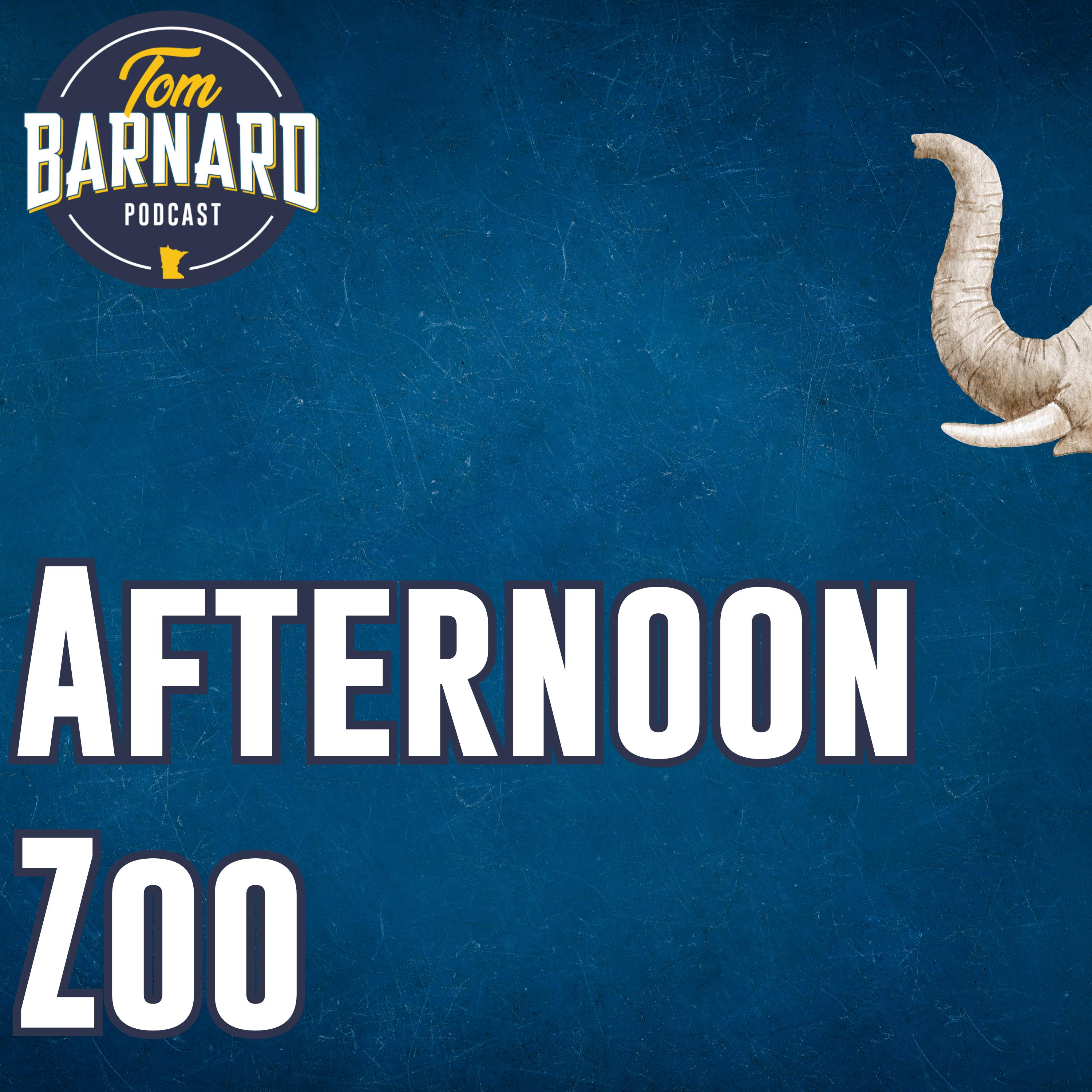The afternoon zoo podcast episode artwork