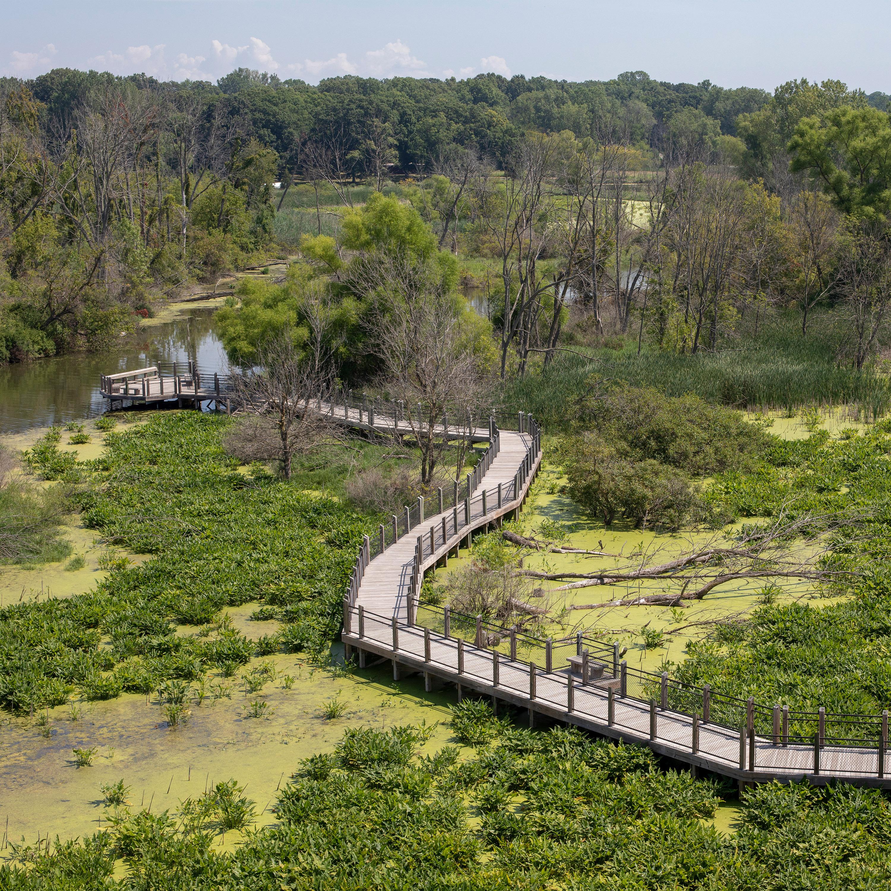 Galien River County Park episode artwork