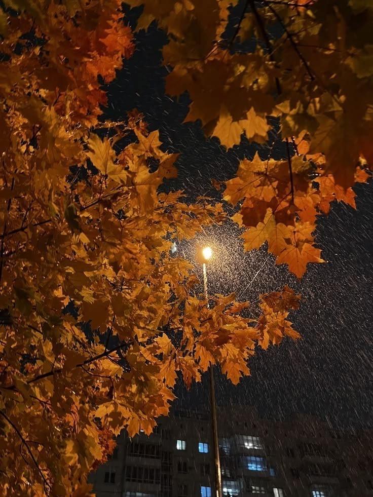 3 Horas de Sonidos de Lluvia y Truenos: para Dormir, Relajarse, Estudiar