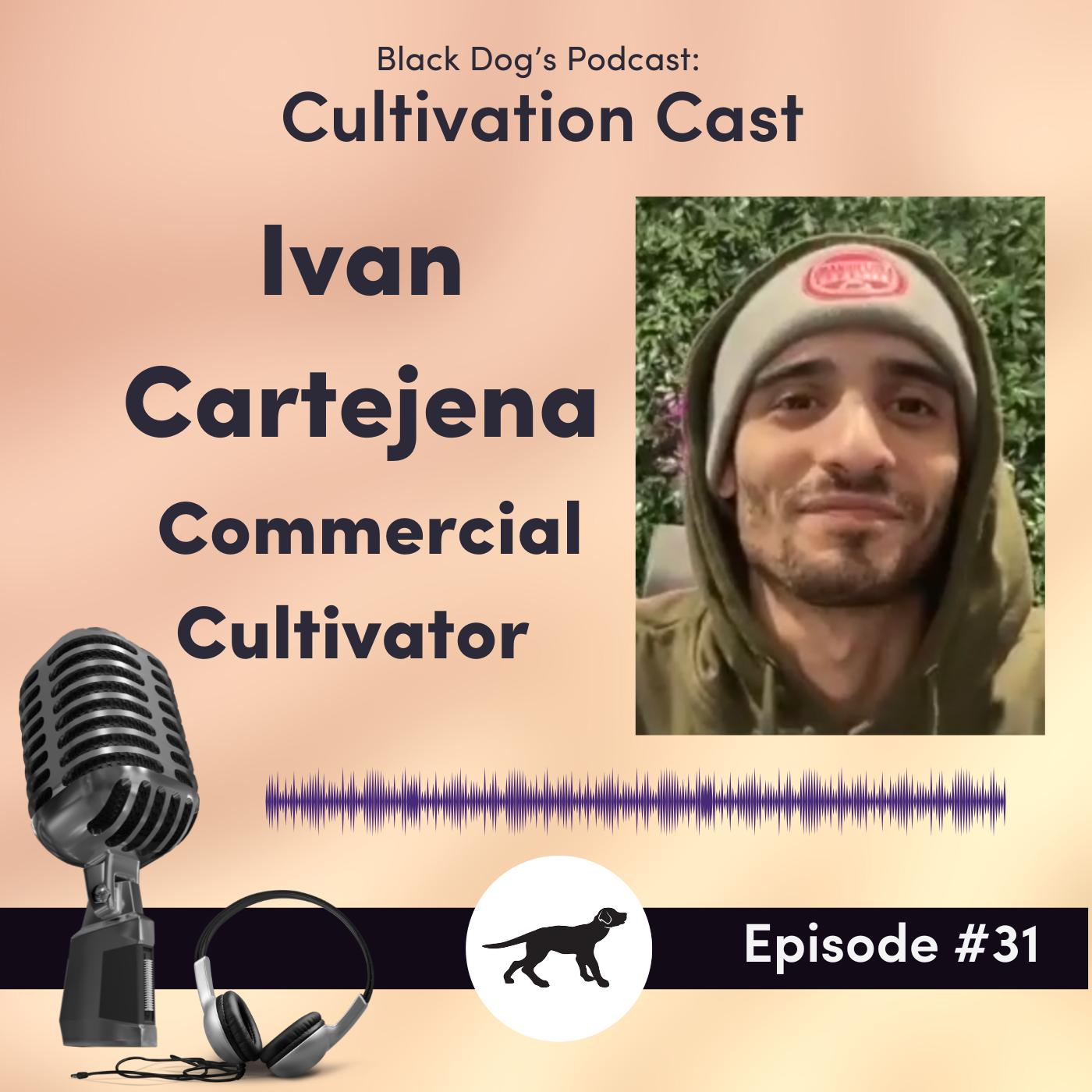 CultivationCast