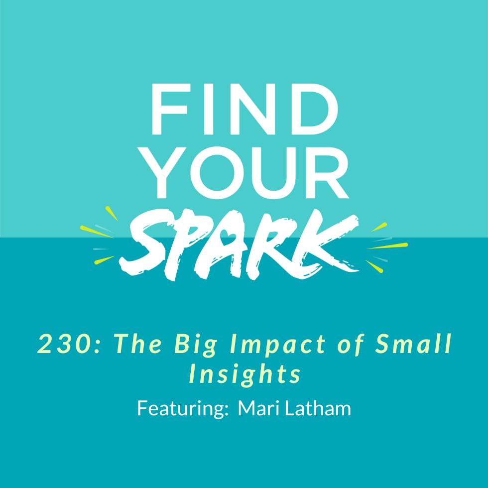 230: The Big Impact of Small Insights 230: The Big Impact of Small Insights