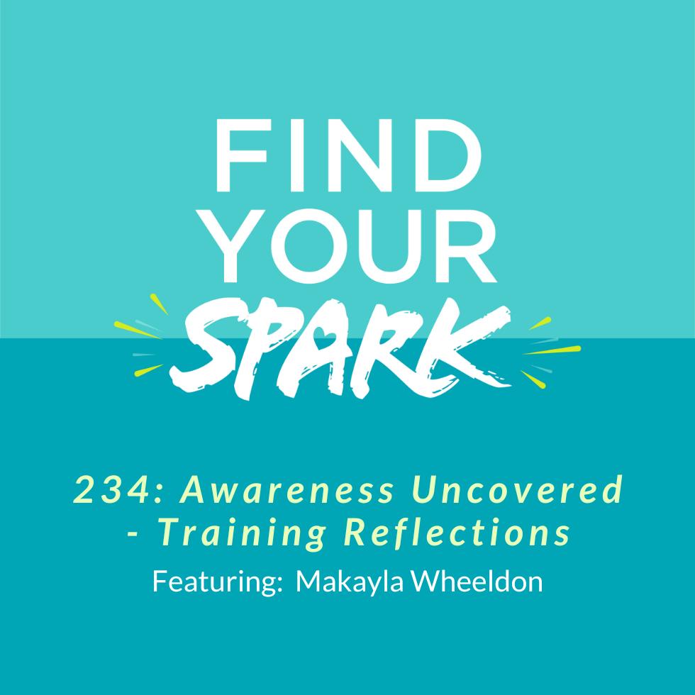 234: Awareness Uncovered - Training Reflections 234: Awareness Uncovered - Training Reflections