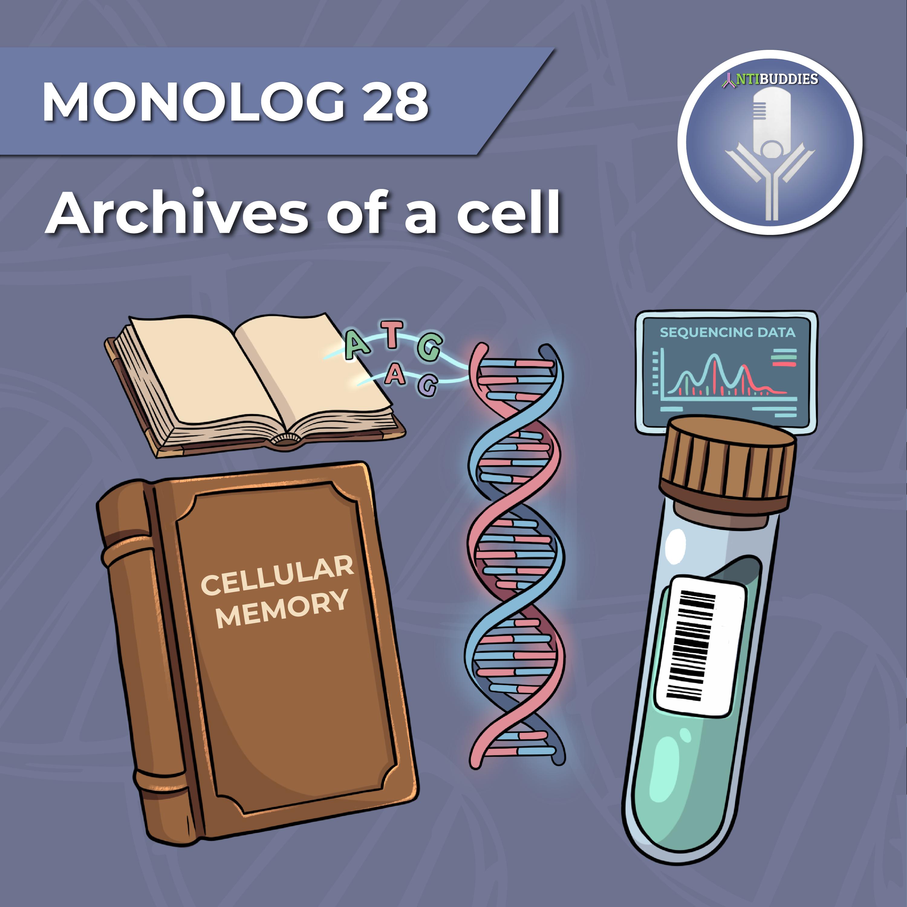 Monolog 28 – Archives of a cell