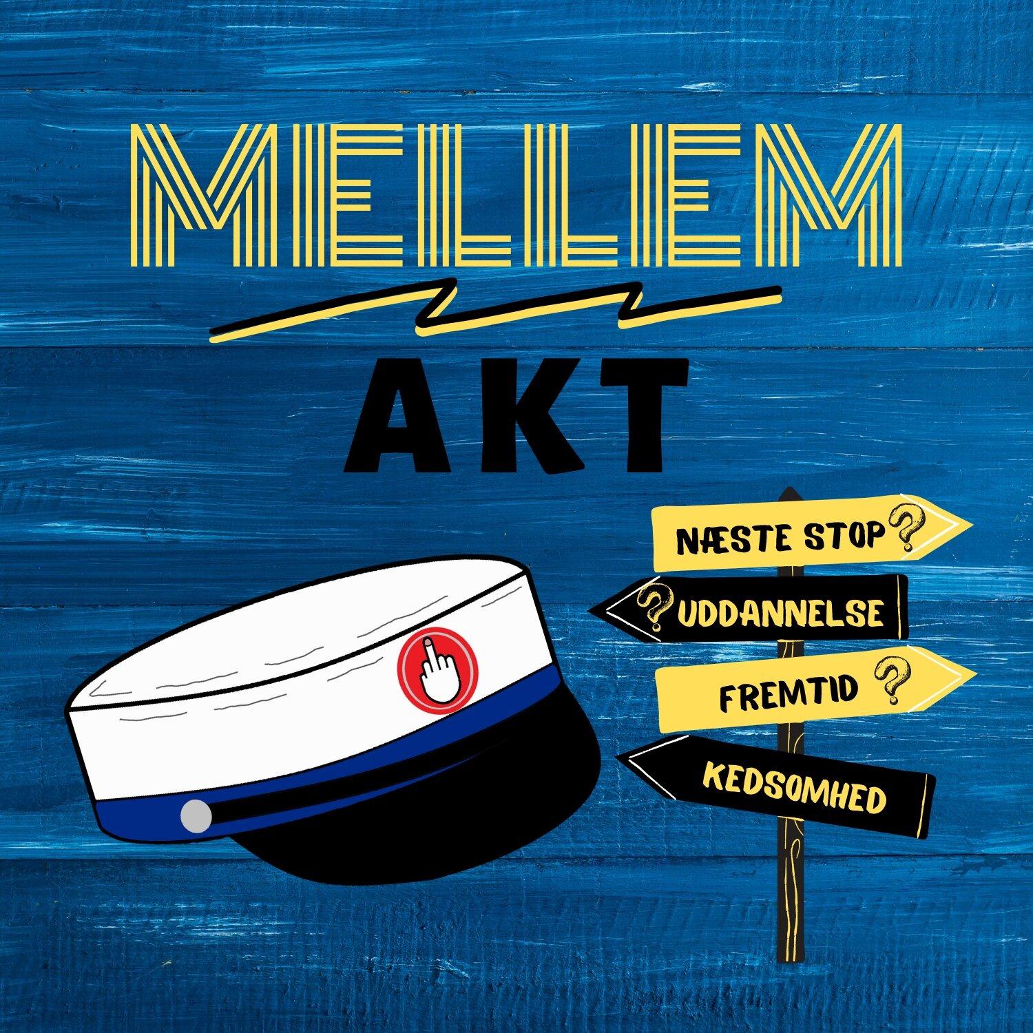 MellemAkt af Stine Krell, Rikke Raun