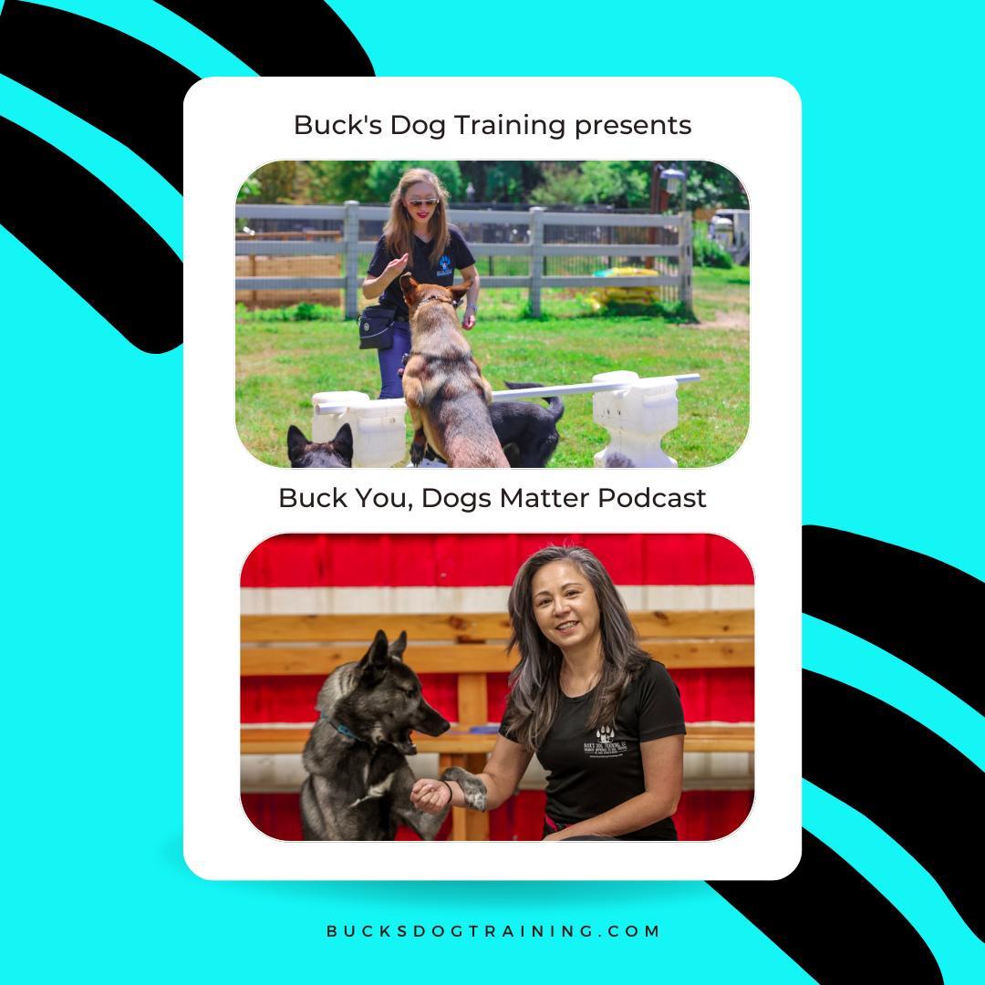 Buck You, Dogs Matter cover art