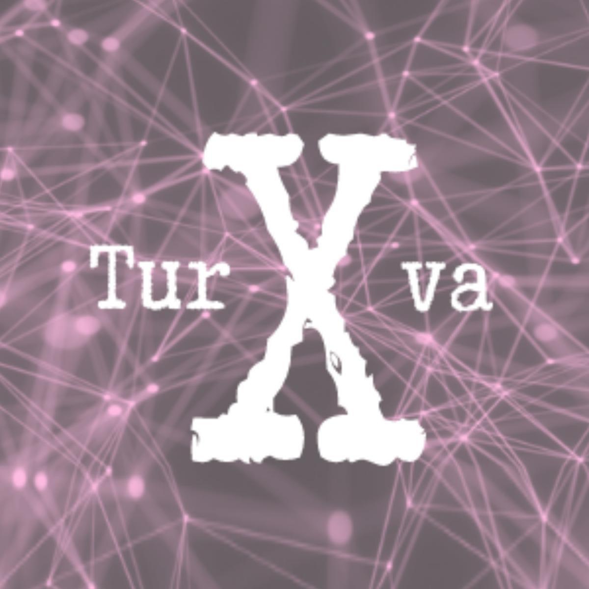 TurvaX -hanke