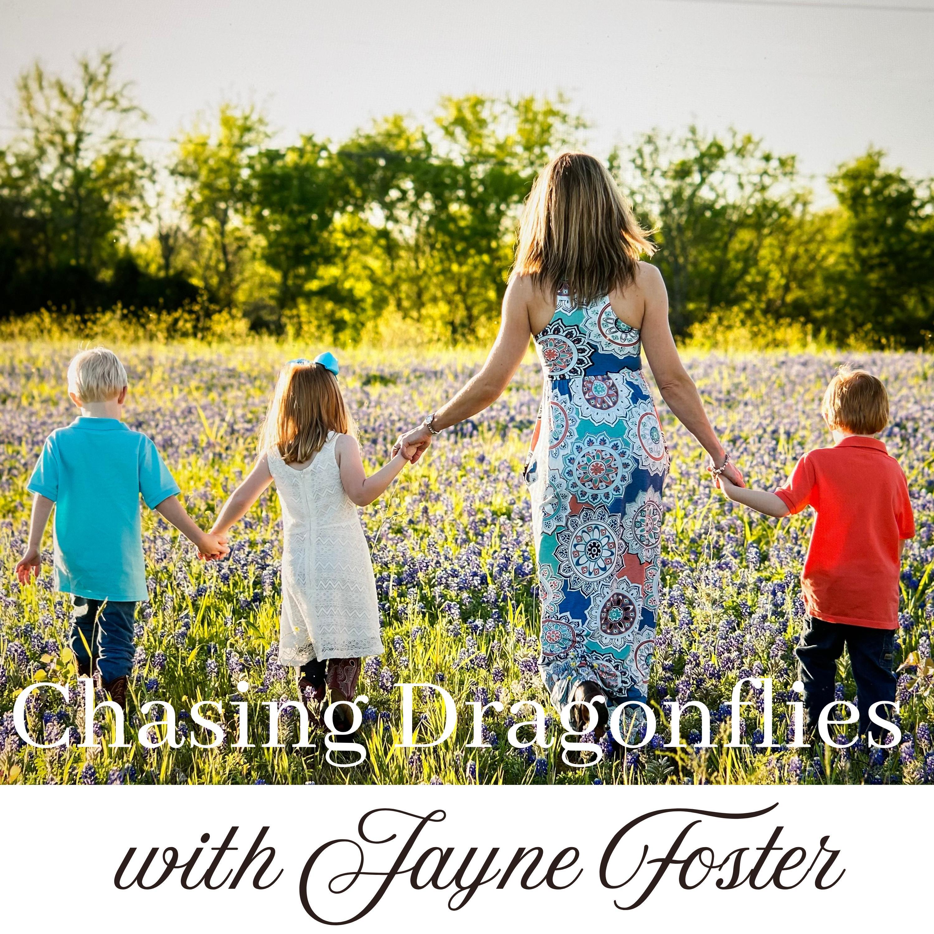 Chasing Dragonflies cover art