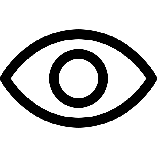 View / Hide Password